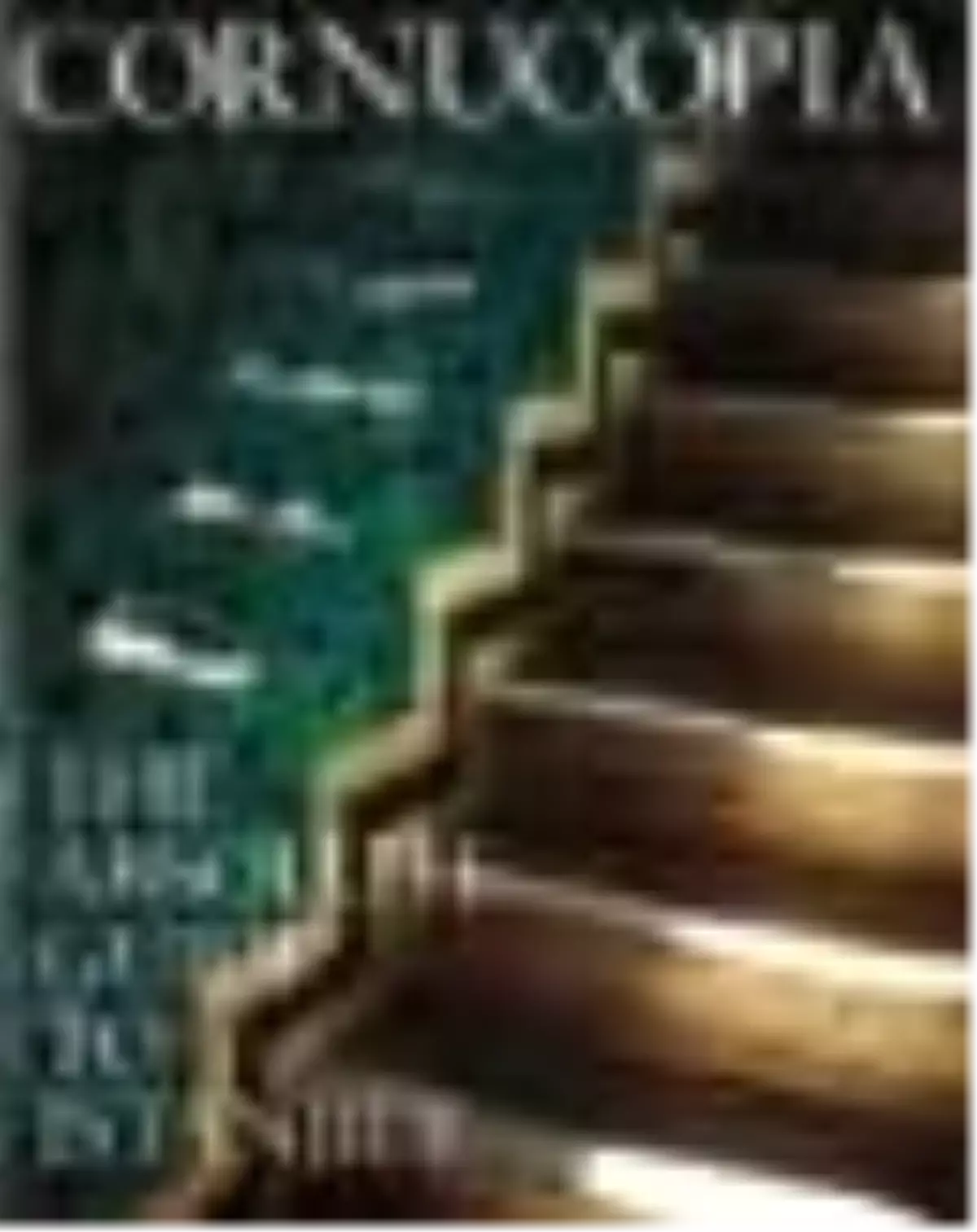 Cornucopia 04 Kitabı