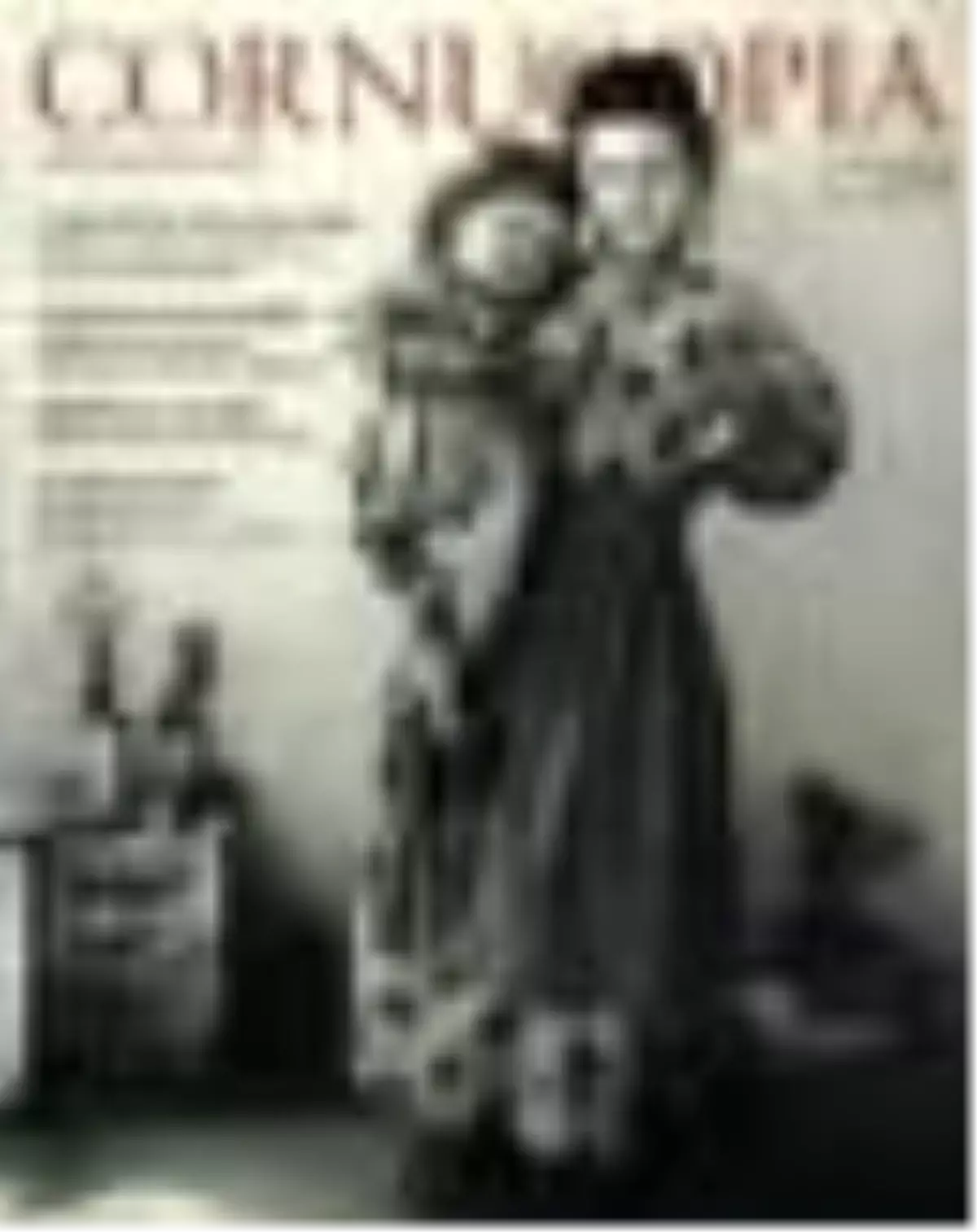 Cornucopia 28 Kitabı