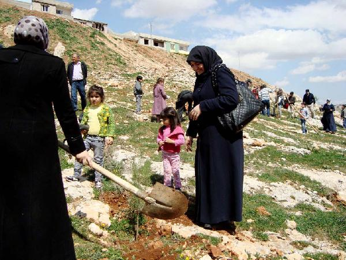 Suriyeliler, Gaziantep\'te 4 Bin Fidan Dikti
