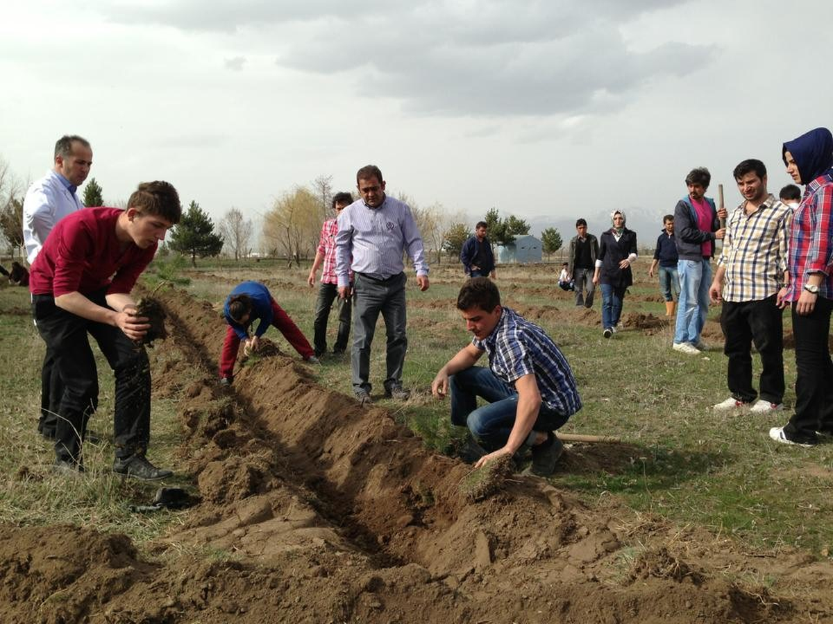 Üniversite Öğrencileri 2 Bin Fidan Dikti