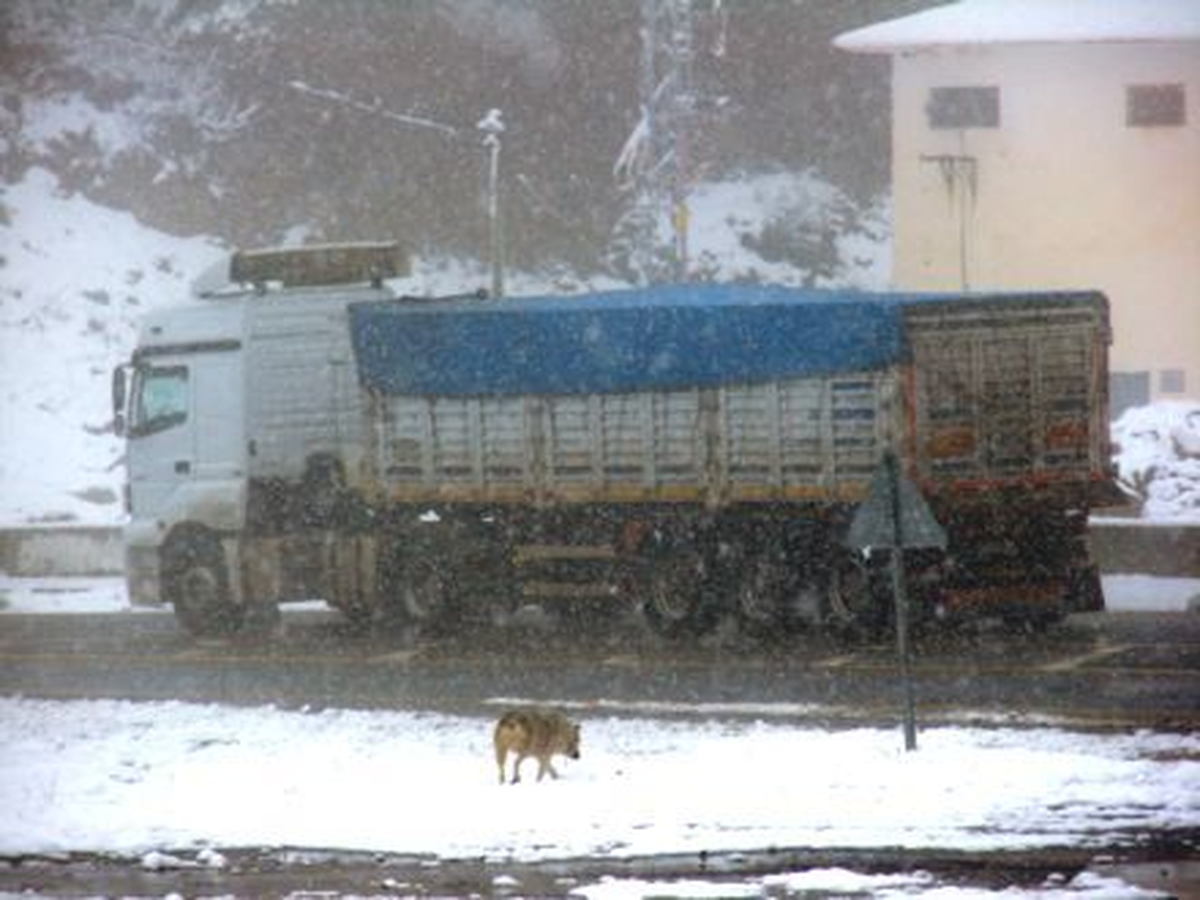 Abant\'ta Kar Yağışı
