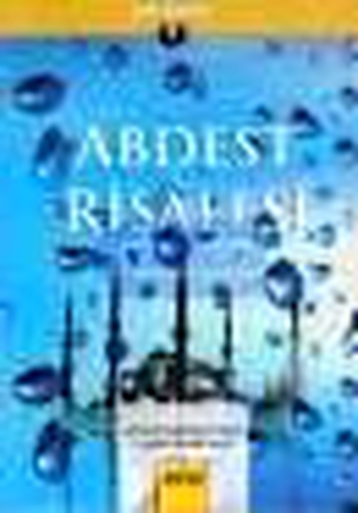 Abdest Risalesi Kitabı