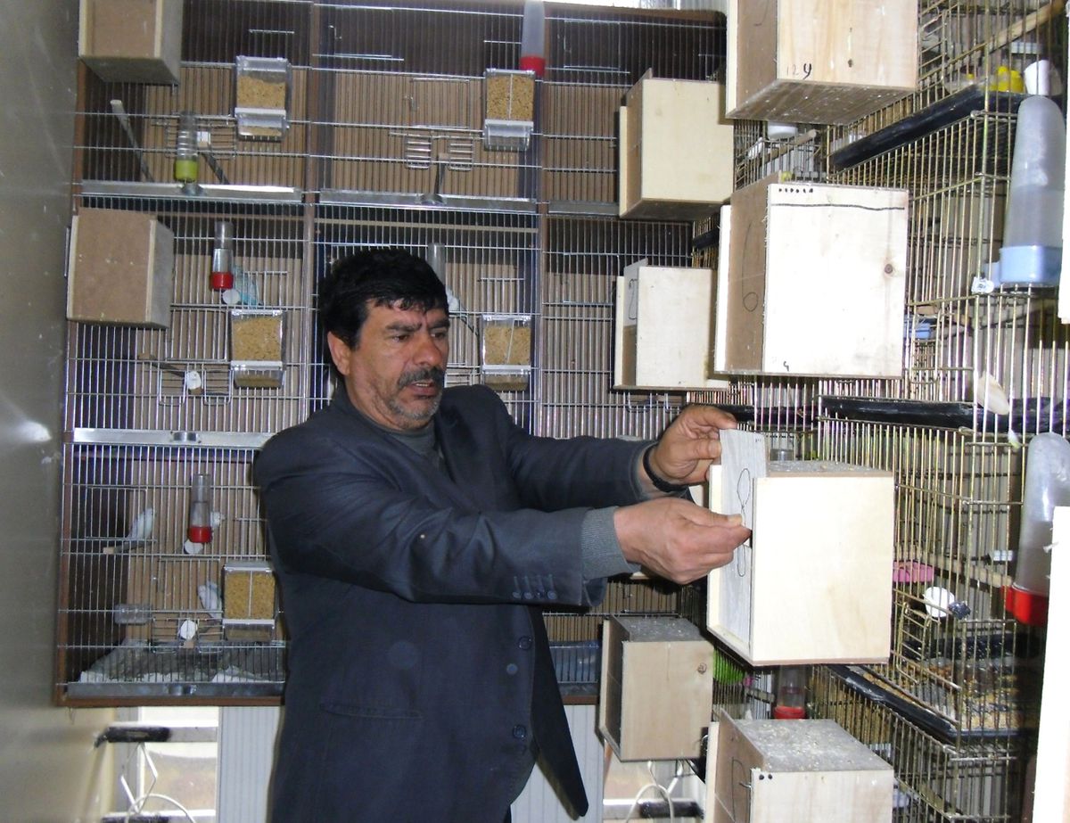 Hobi Olarak Başladı Şimdi Üreticilik Yapıyor