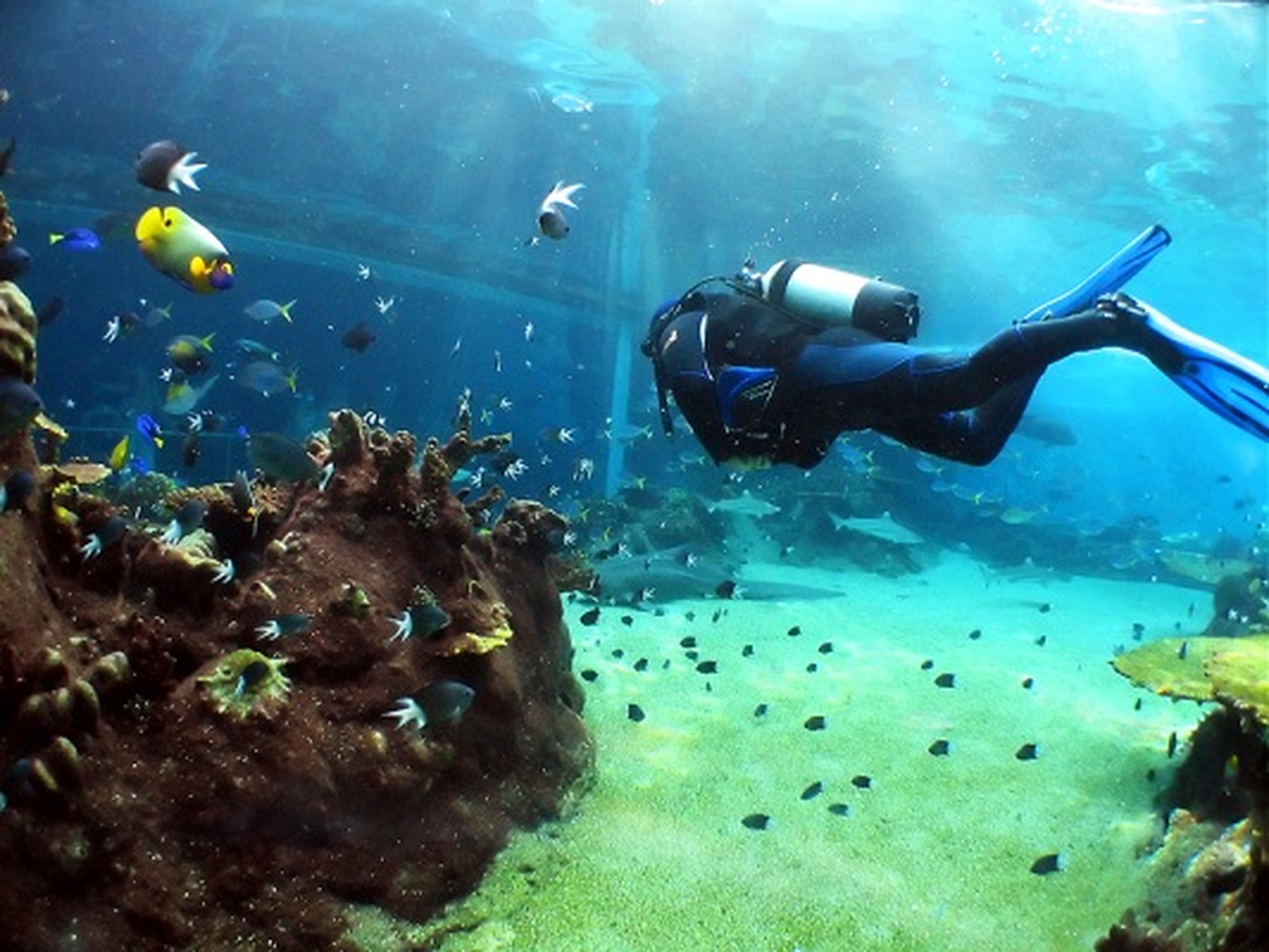 Odeon Tours\'tan, Sharm El Sheikh Turu