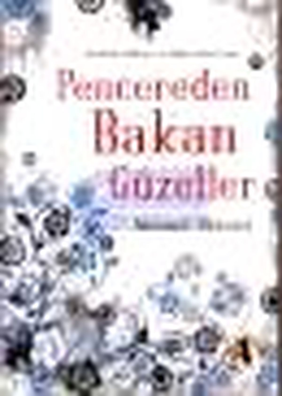 Pencereden Bakan Güzeller Kitabı