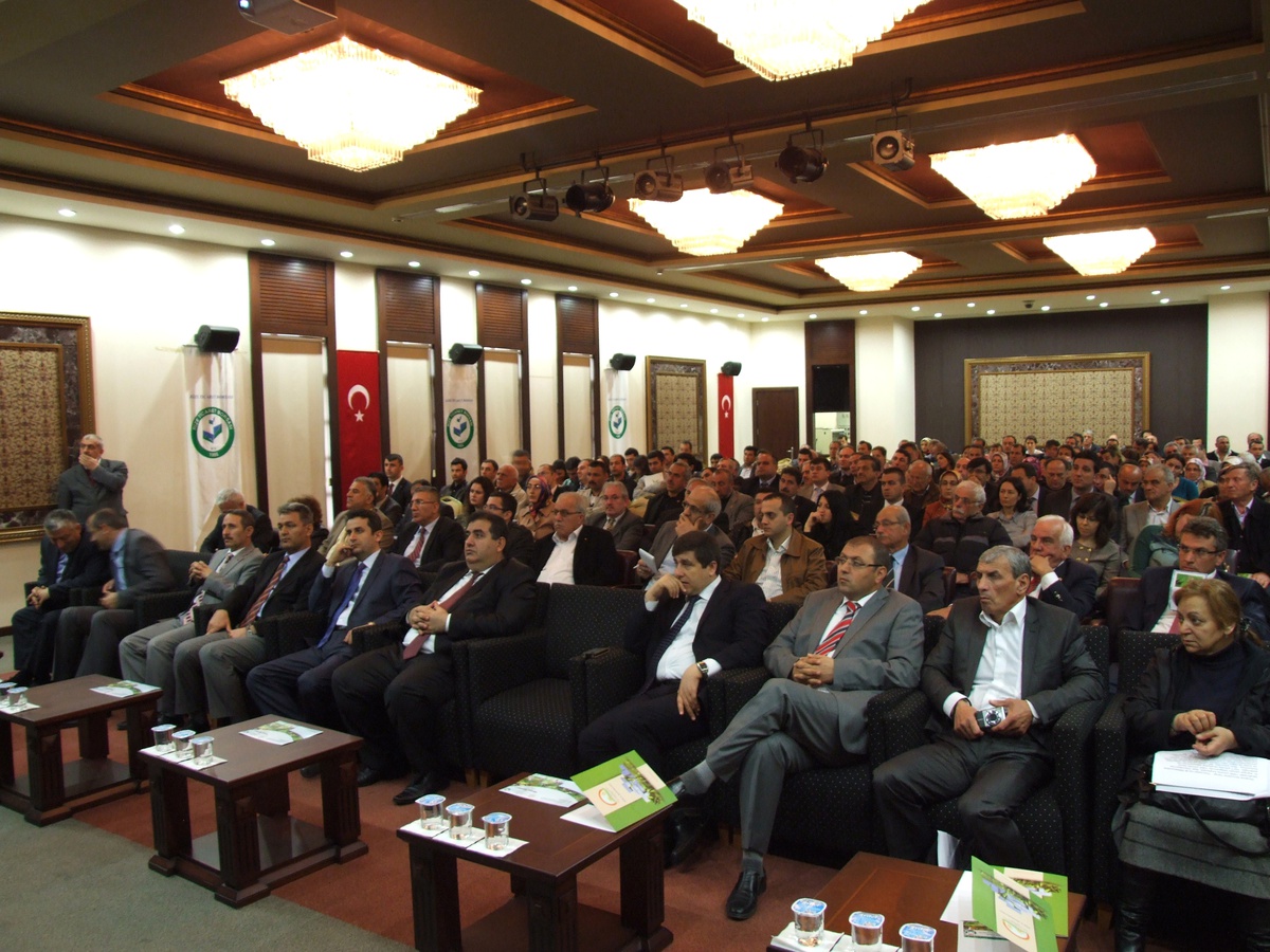 Ricania Simulans Zararlısı Doğu Karadeniz\'i Tehtit Ediyor
