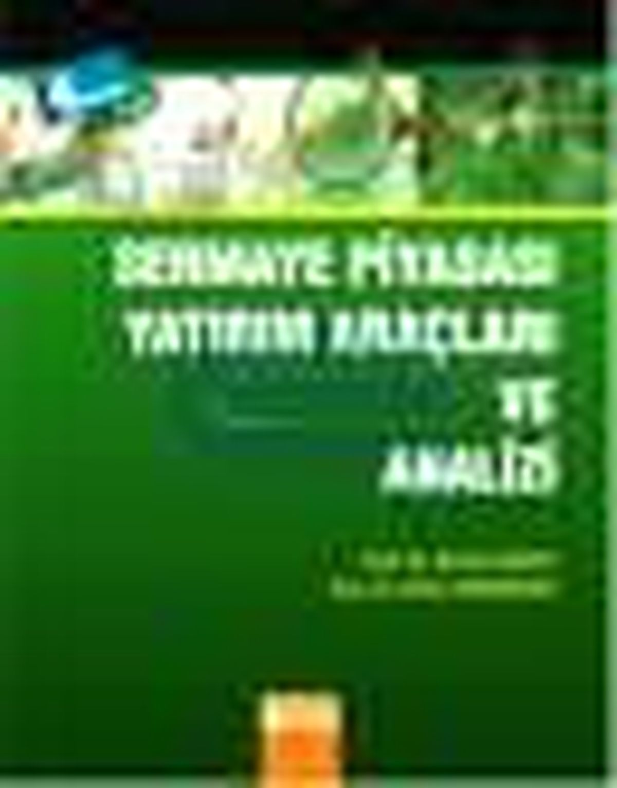 Sermaye Piyasası Yatırım Araçları ve Analizi Kitabı