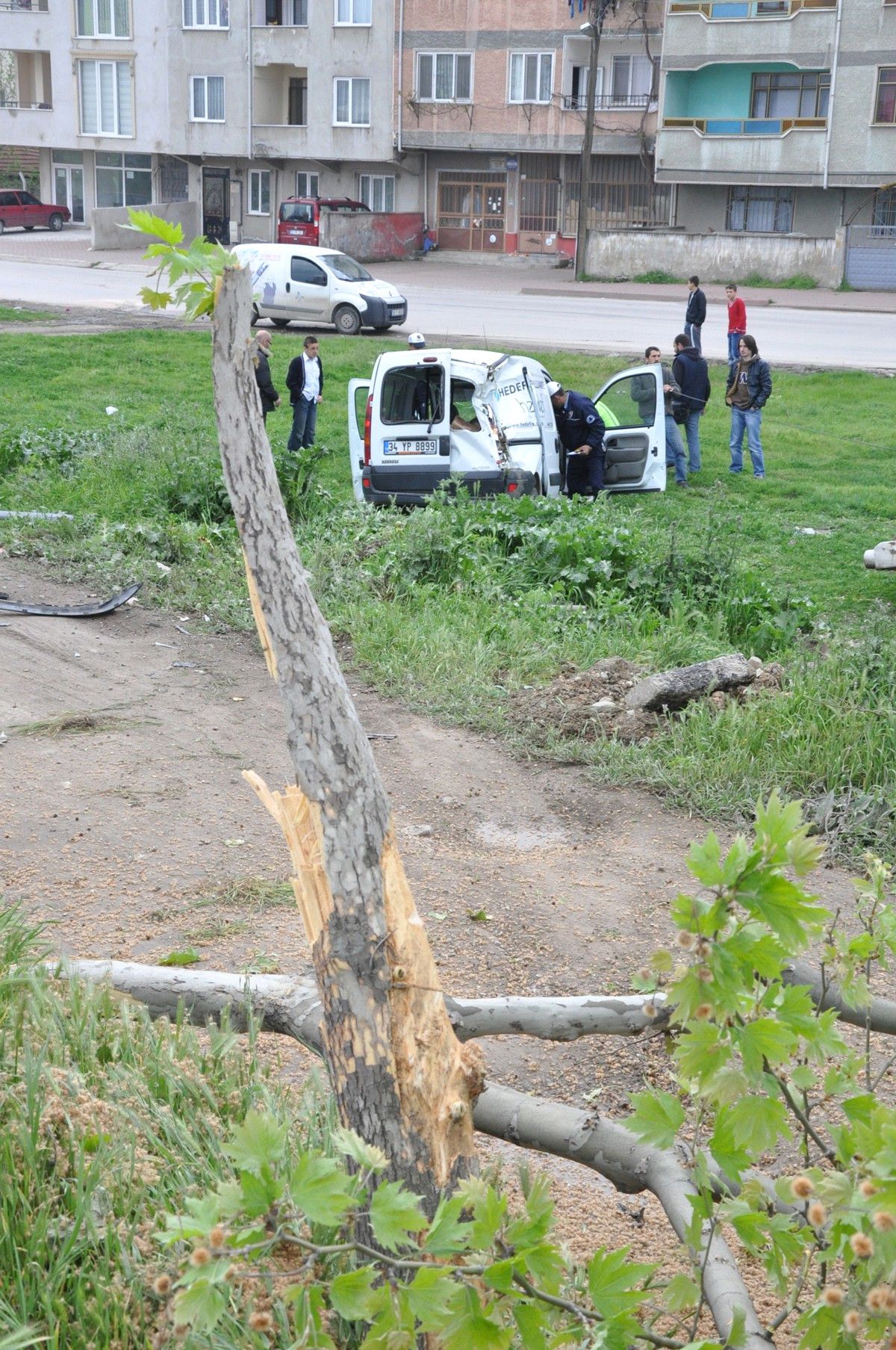 Aracıyla Ağacı Devirdi, Burnu Bile Kanamadı