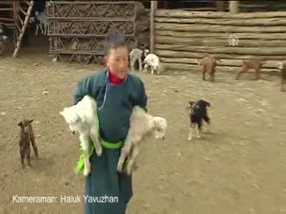"Zamanın Durduğu Yer": Moğolistan