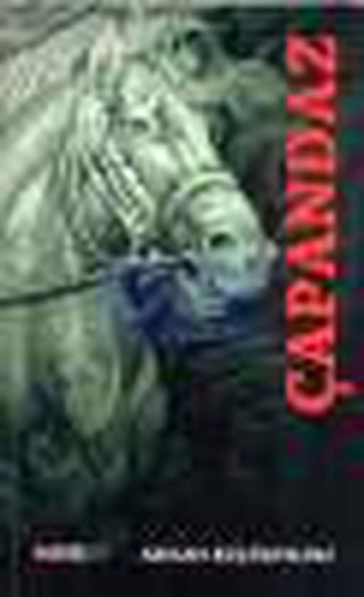 Çapandaz Kitabı