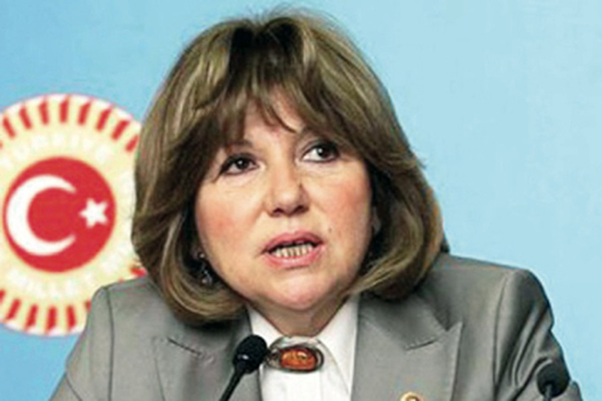 CHP\'li Serter\'in Basın Toplantısı