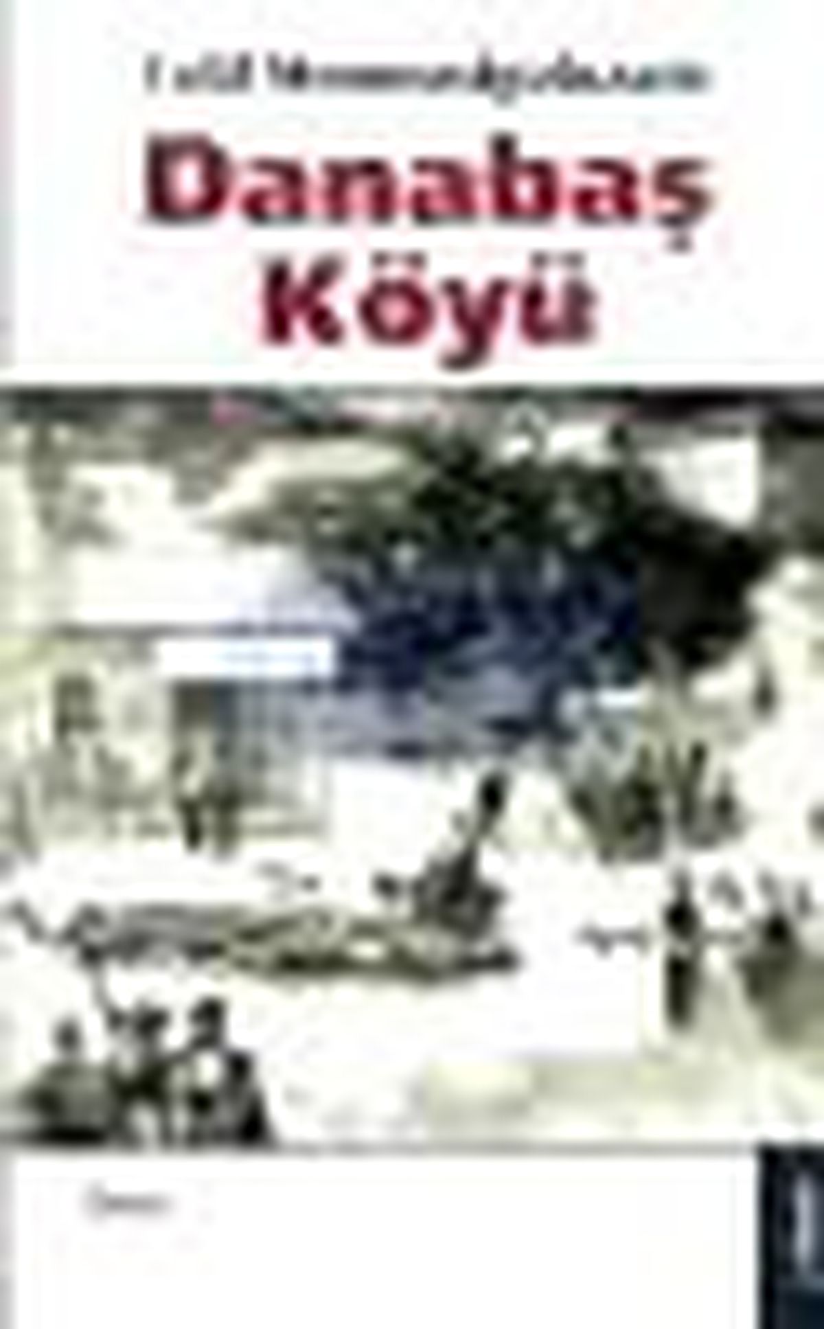 Danabaş Köyü Kitabı