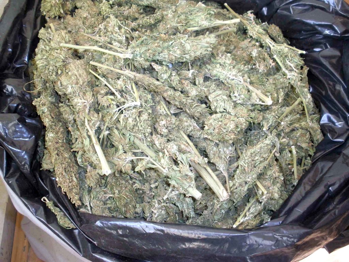 Erzurum\'da 7 Gram Uyuşturucu Ele Geçirildi