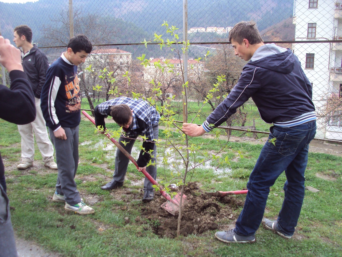 Küre Çpl Öğrencileri Okul Bahçesine Meyve Fidanı Dikti