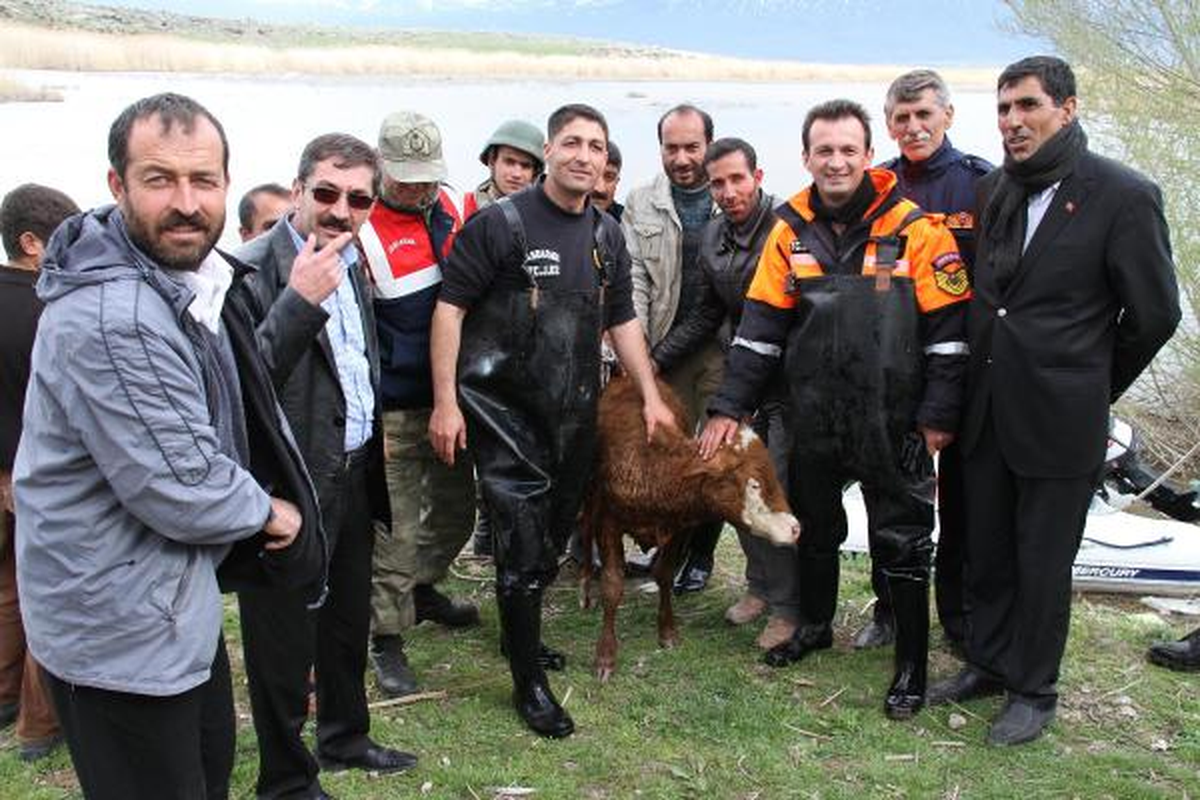 Mehmetçikten Buzağı Kurtarma Operasyonu
