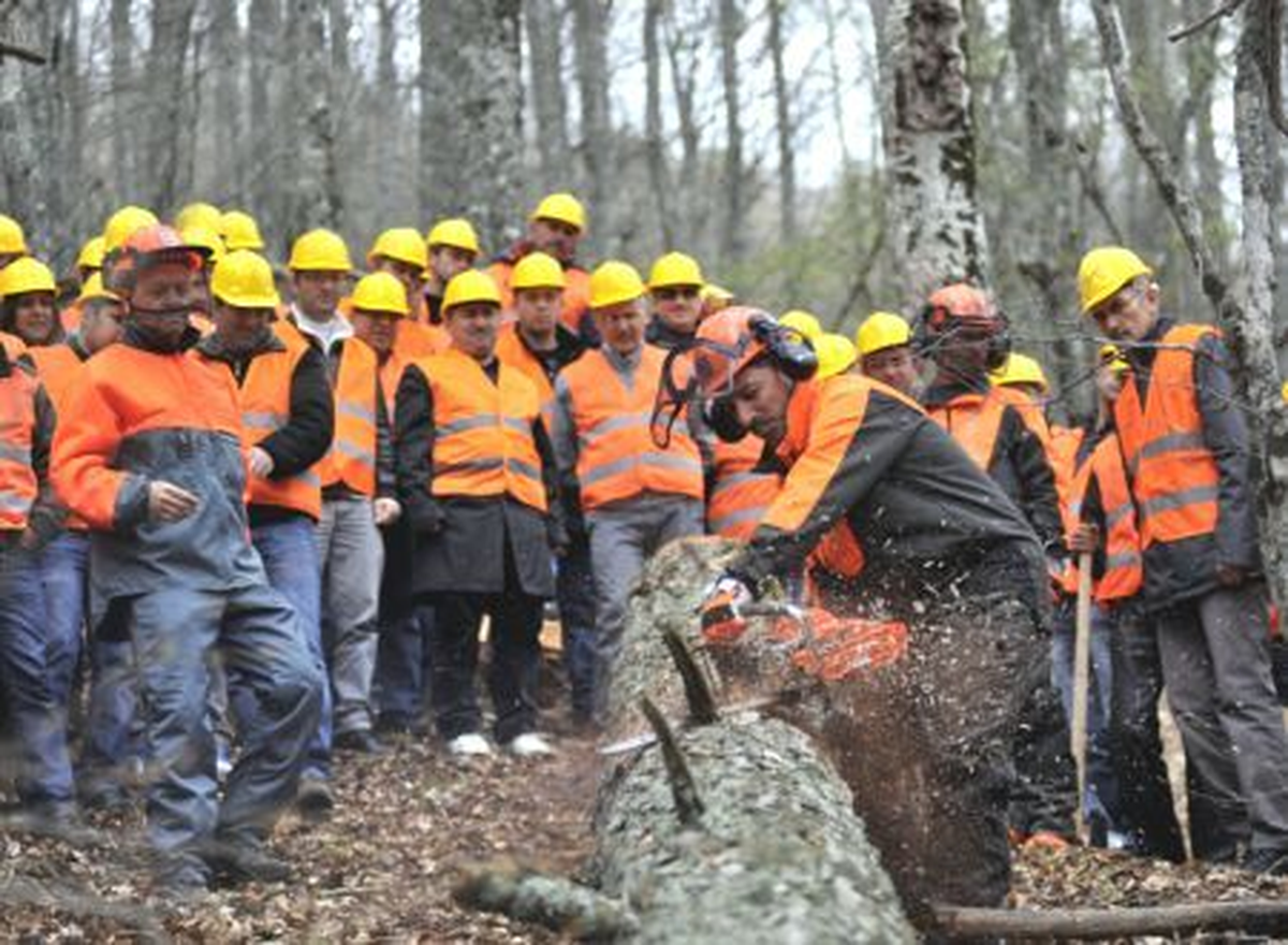 Ormancılar Tatbikatta Buluştu