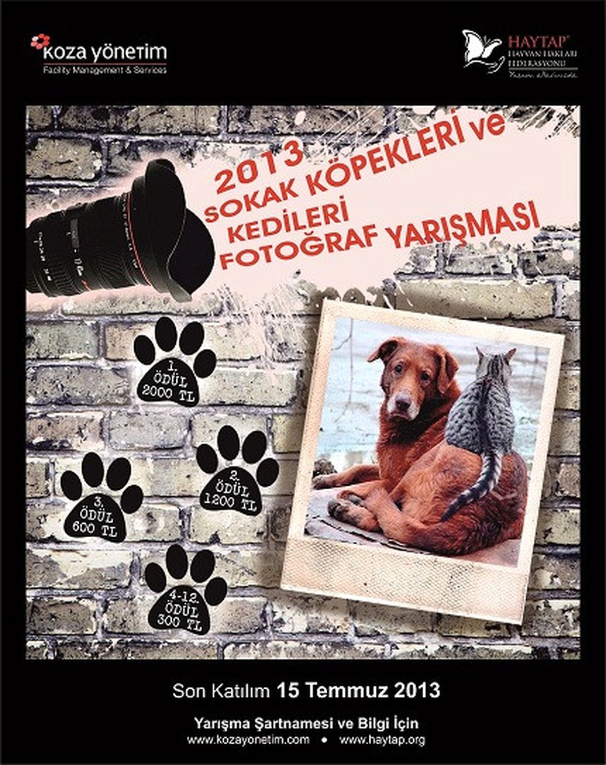 Sahipsiz Sokak Hayvanlarına Destek