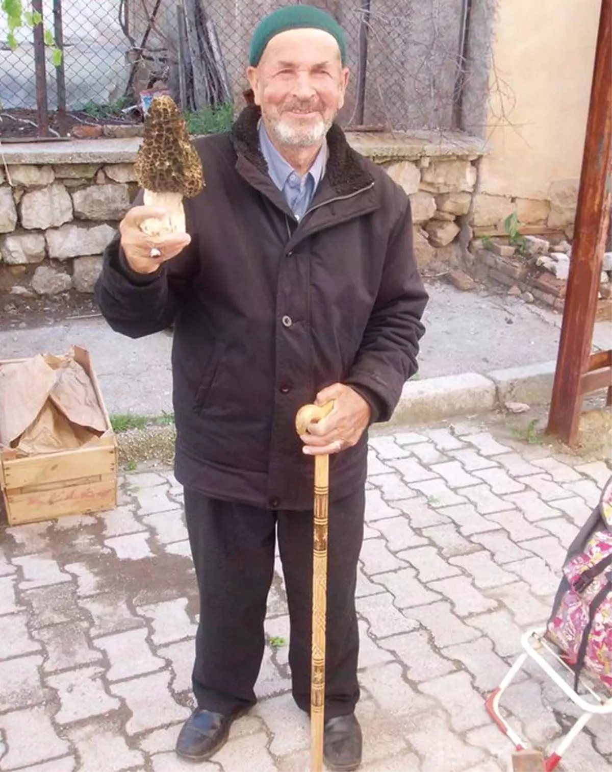 400 Gramlık Kuzugöbeği Mantarı İlgi Çekti