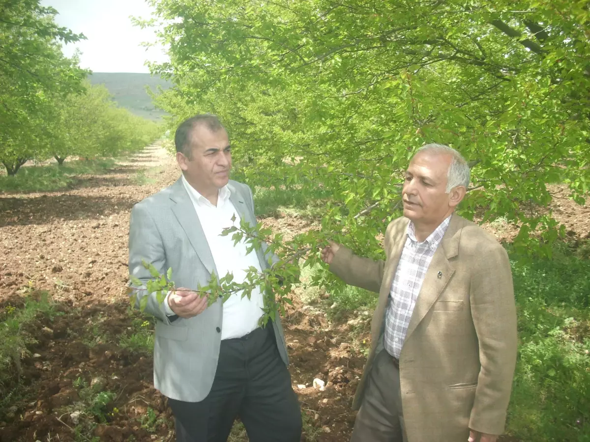 İşçi Partisi, Don ve Dolu'dan Zarar Gören Çiftçilere Destek Verilmesini İstedi