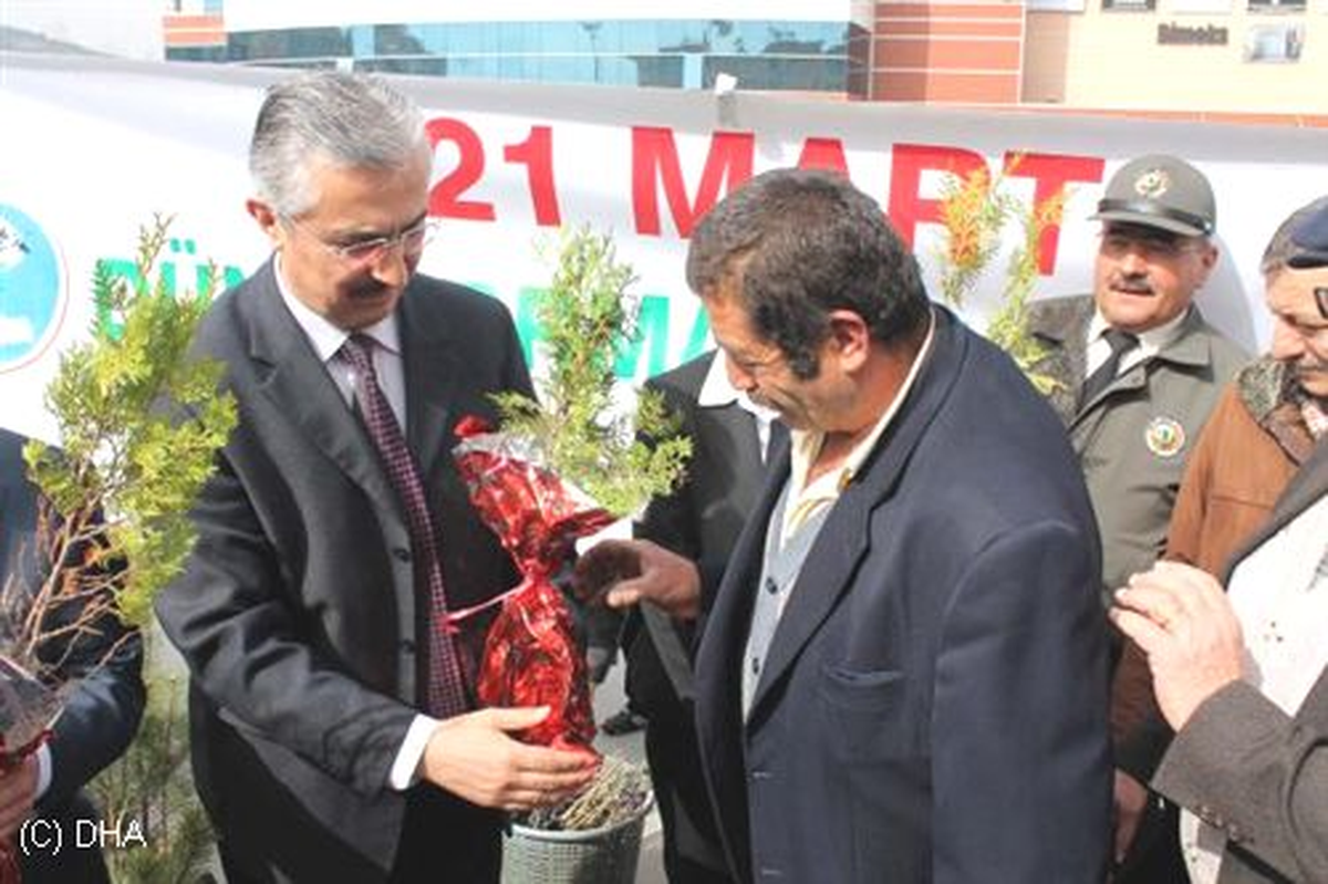 Kastamonu\'da Gül Fidanı Dağıtıldı