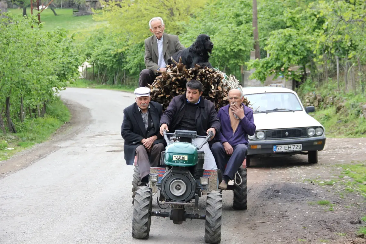 Köpek Deyip Geçmeyin