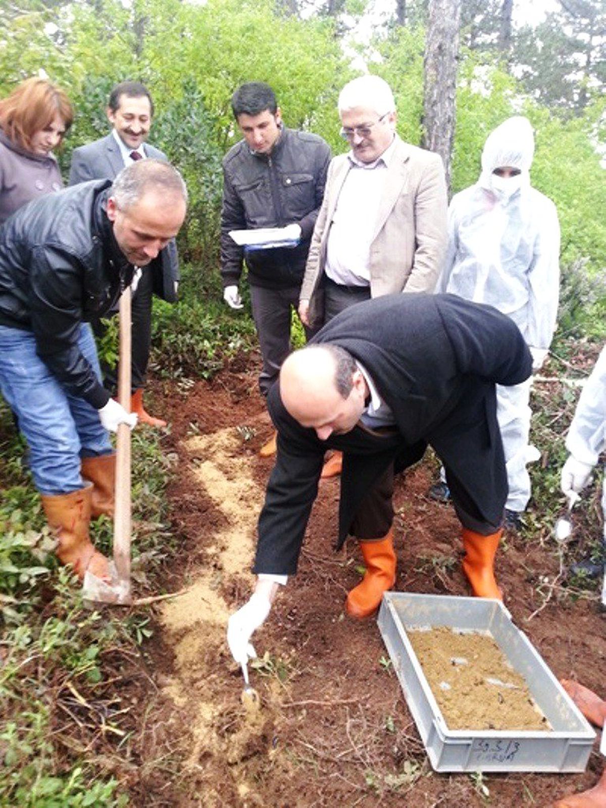 Orman Zararlıları ile Biyolojik Mücadele