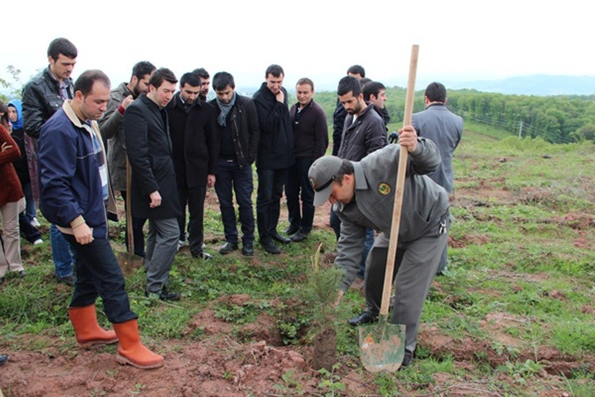 Sakarya AK Parti İl Gençlik Kolları Fidan Dikti