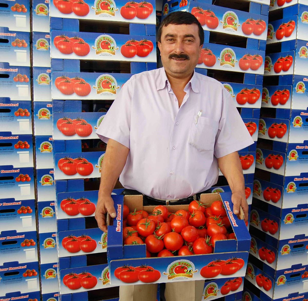 Simav Ekonomisini Seracılık Sırtladı