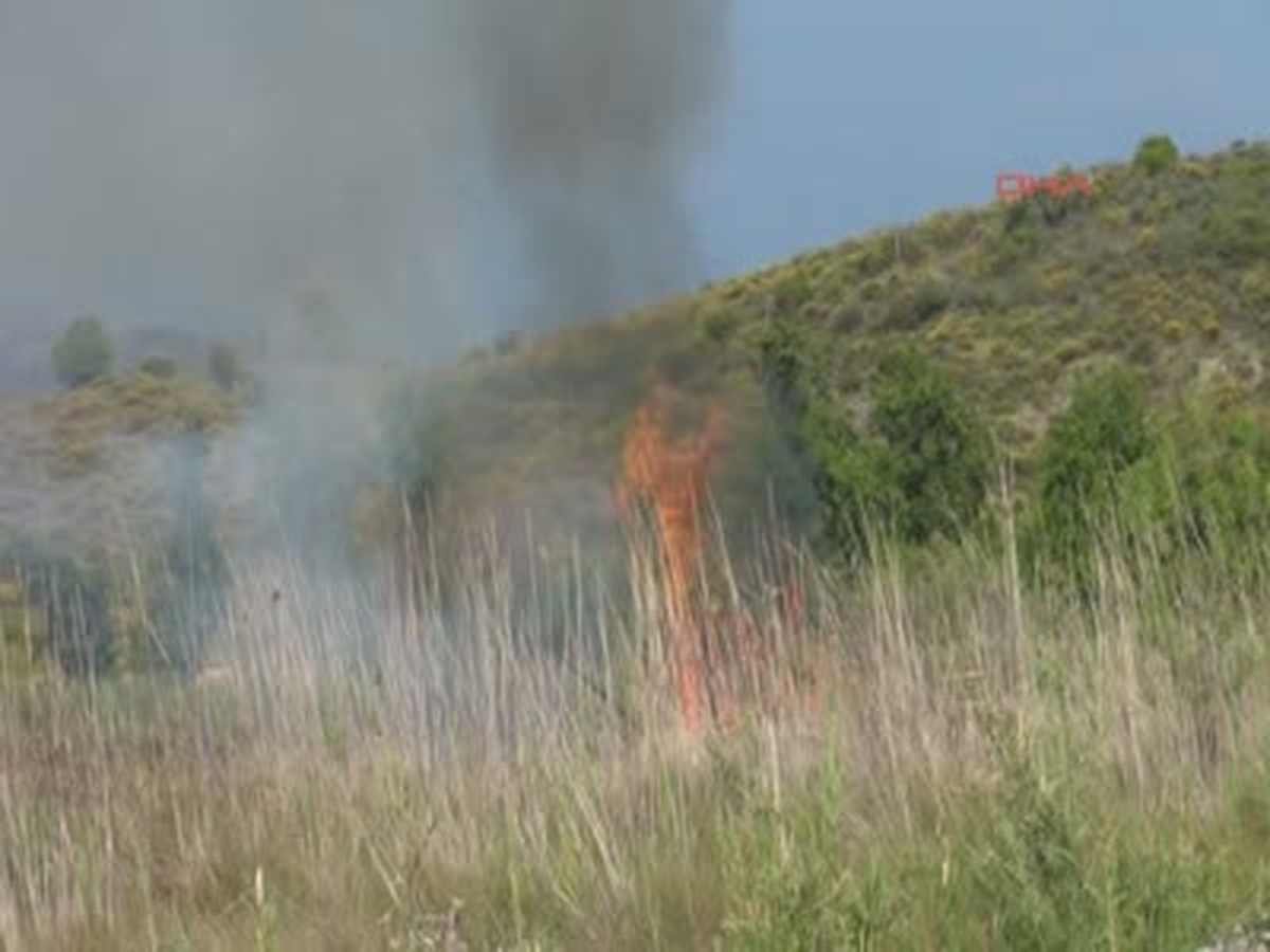 Kuş Cenneti Yangında Kül Oldu