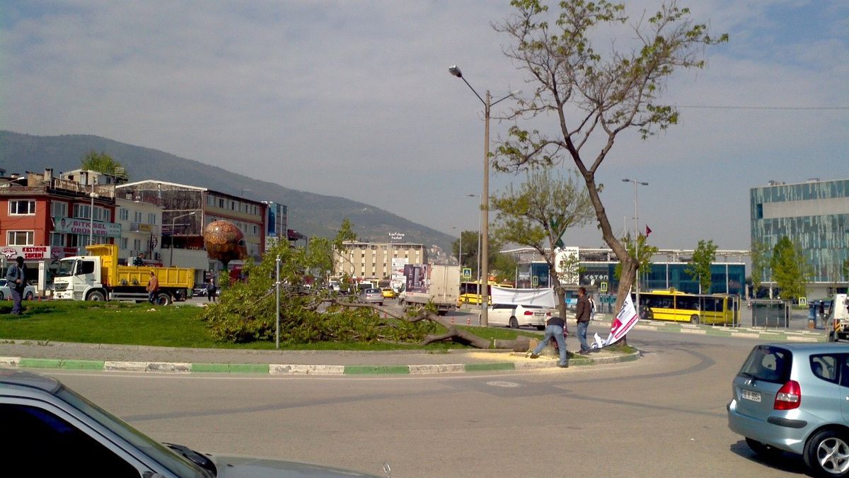 Kent Meydanı\'nda Kesilen Ağaçlara Tepki