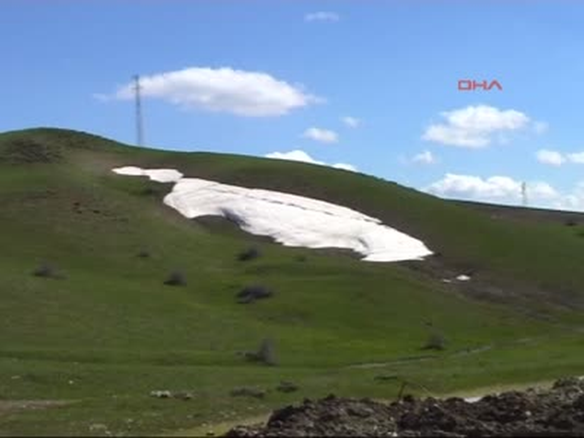 Muşlular Bahar Karını Yiyorlar