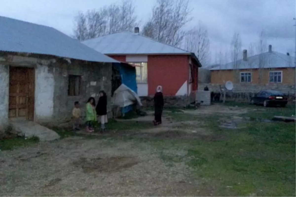 Çalınan Küçükbaş Hayvanlar Jandarma Tarafından Bulundu