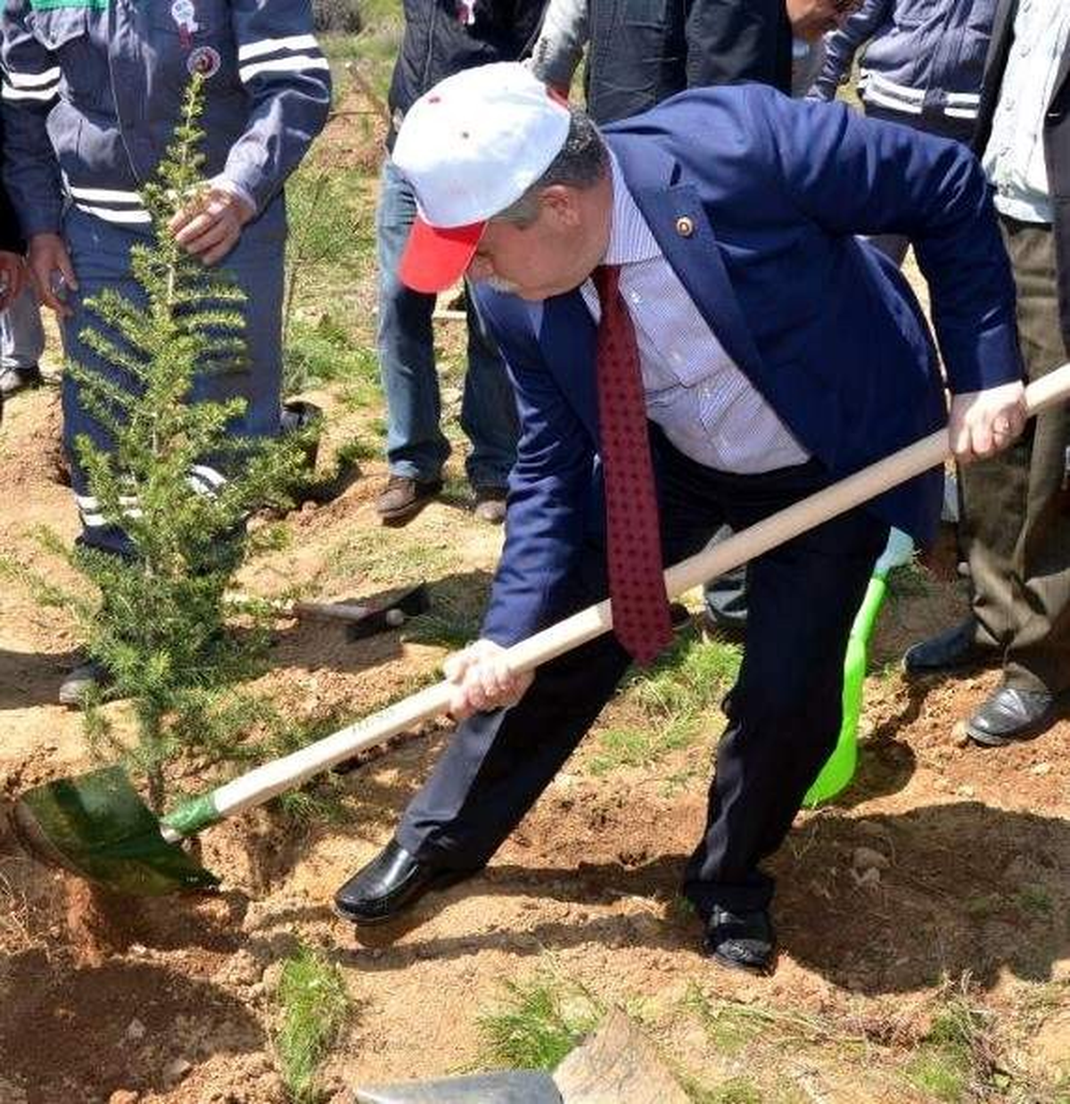 Gördes Tepelerine 250 Bin Fidan
