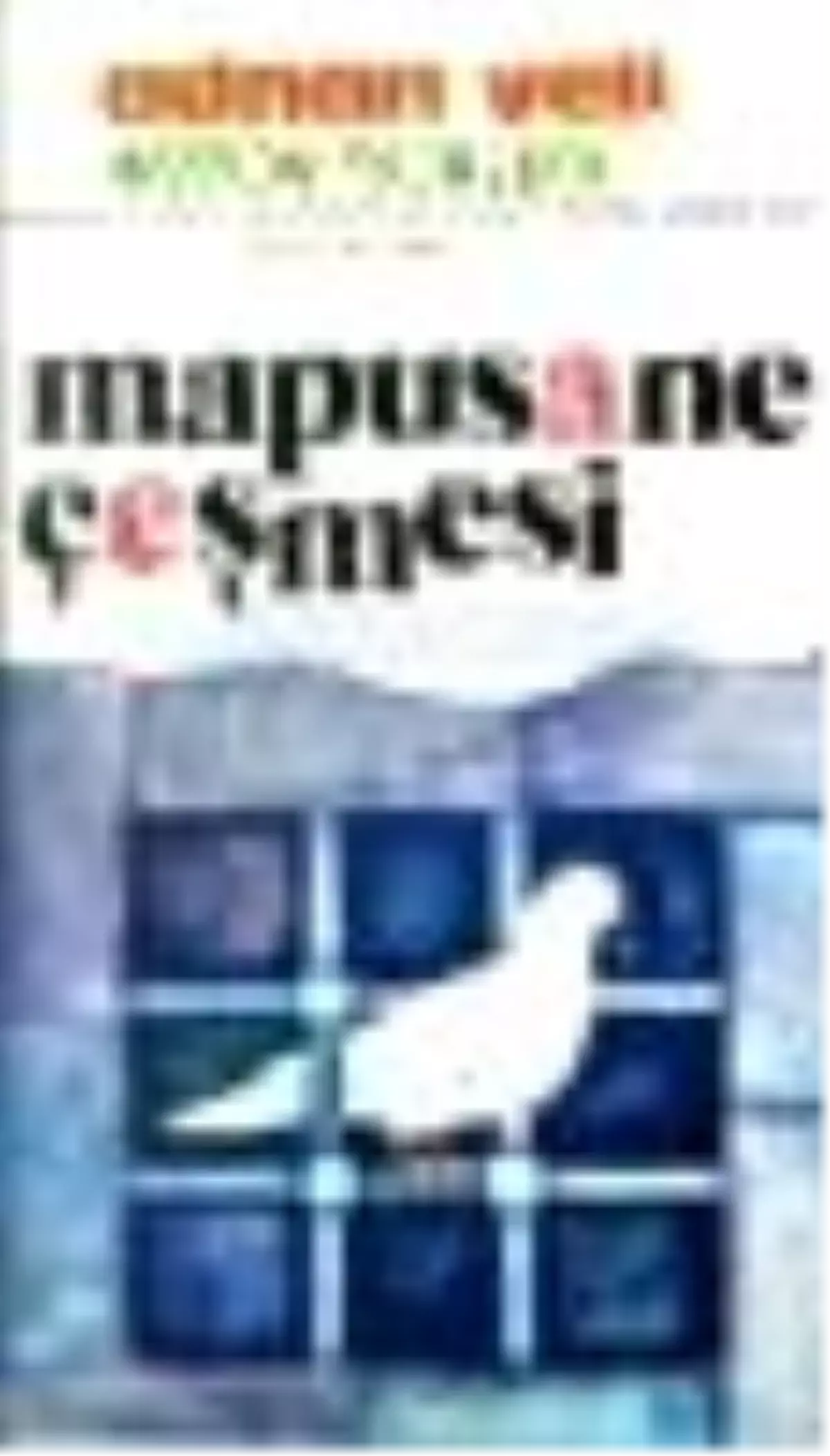 Mapusane Çeşmesi Kitabı