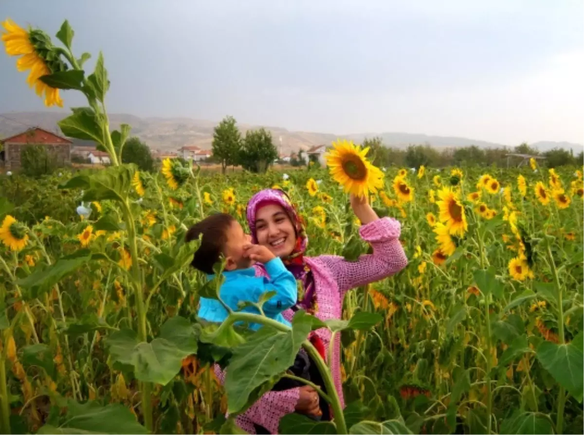 Ontex, Nesilleri Buluşturan Fotoğrafları Ödüllendirdi