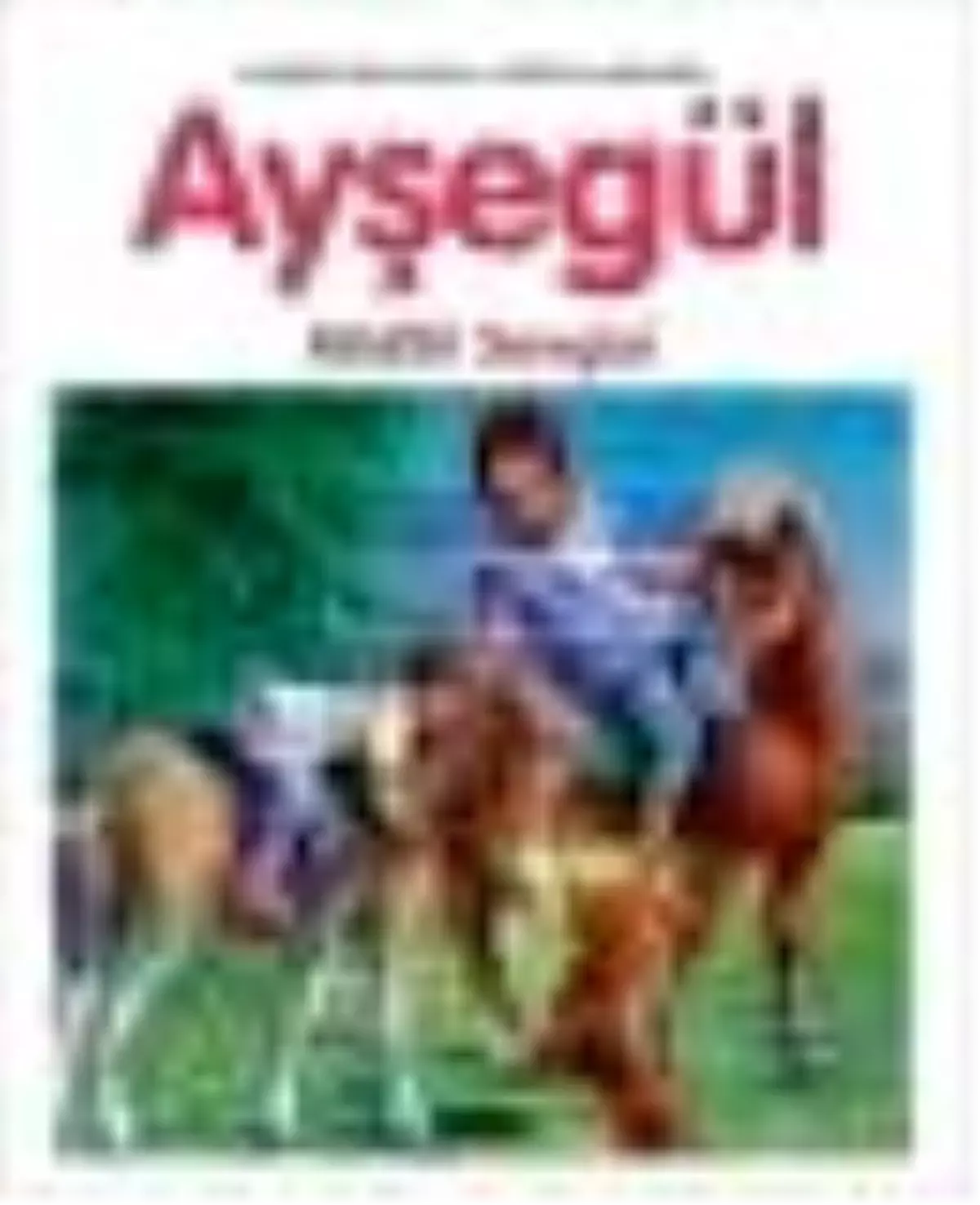 Ayşegül 44 - Midilli Sevgisi Kitabı