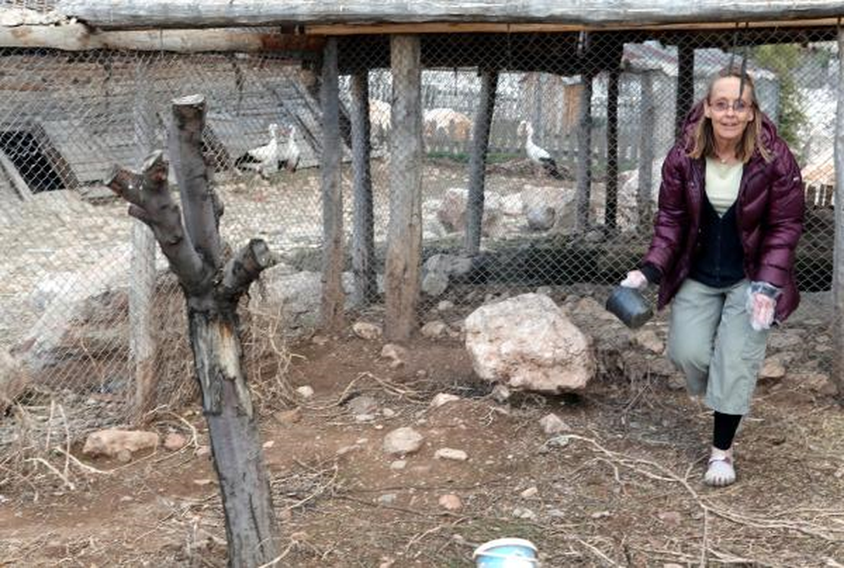 Doğal Köyde Hayvanlar Tedavi Ediyor