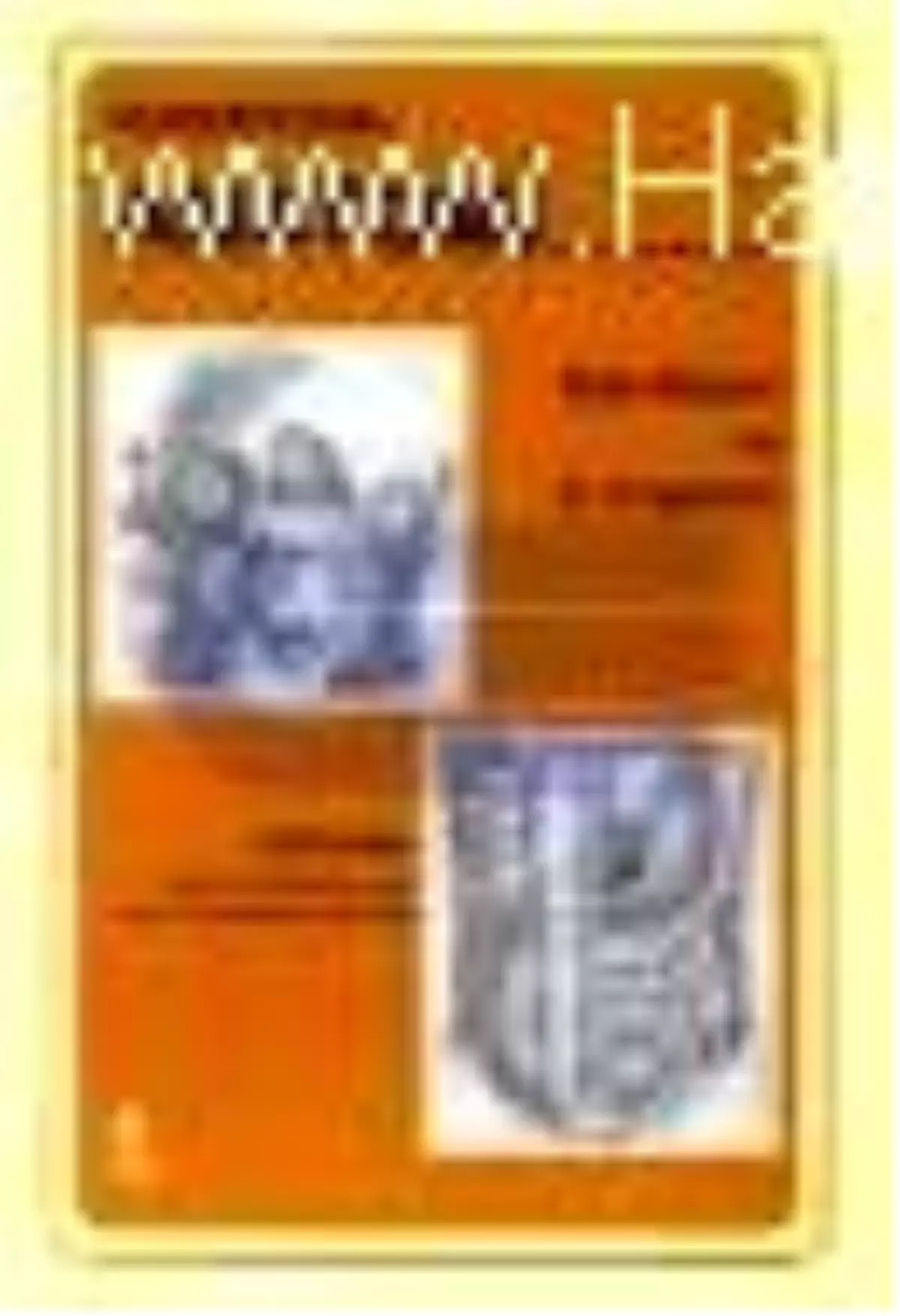 Fonksiyonel Anatomi Baş-Boyun ve İç Organlar Kitabı