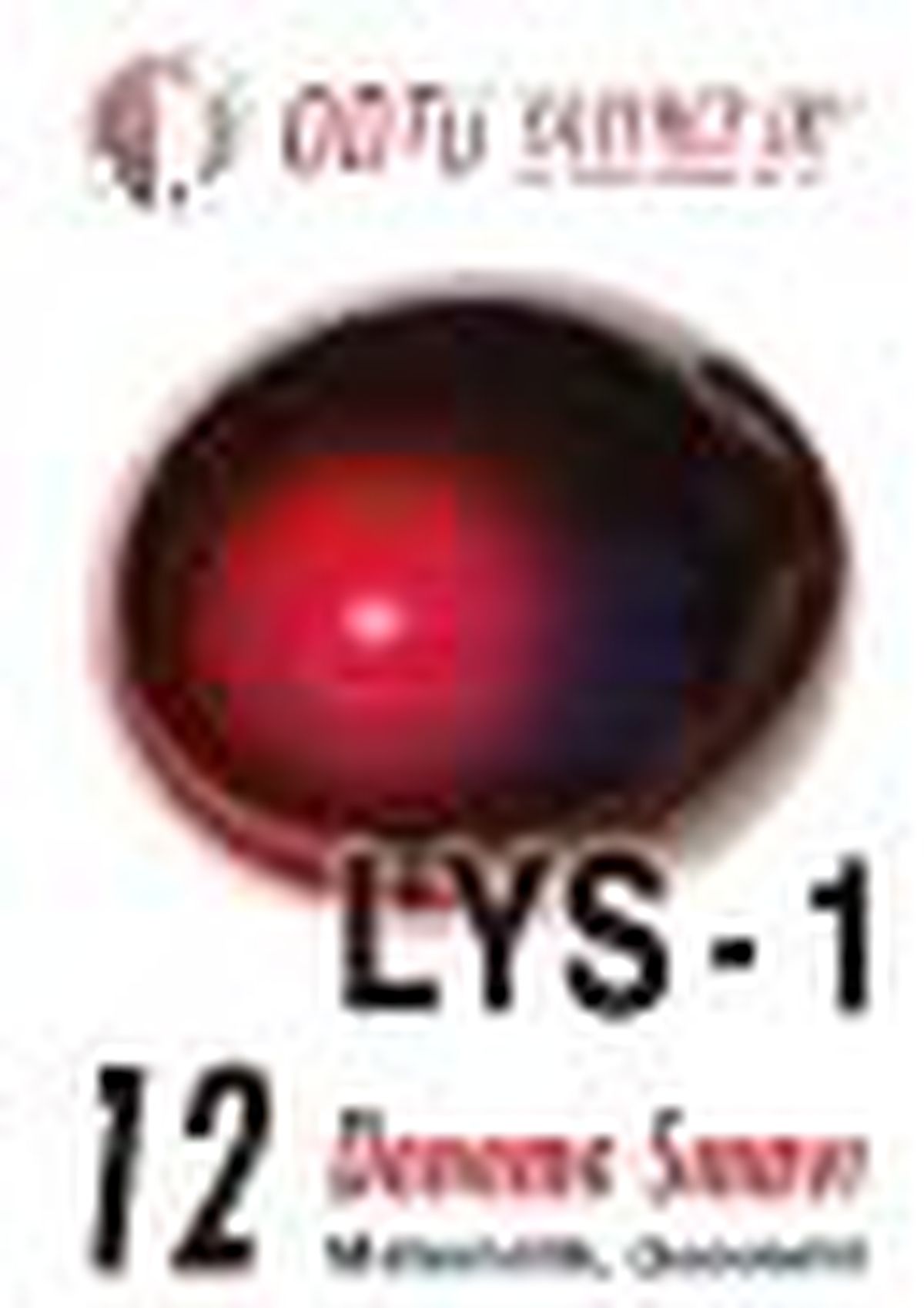 Lys 1 - 12 Deneme Sınavı Kitabı