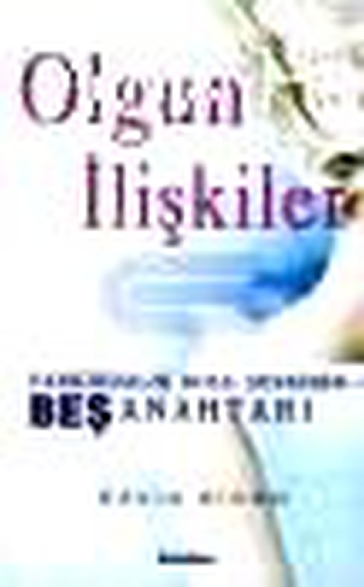 Olgun İlişkiler Kitabı