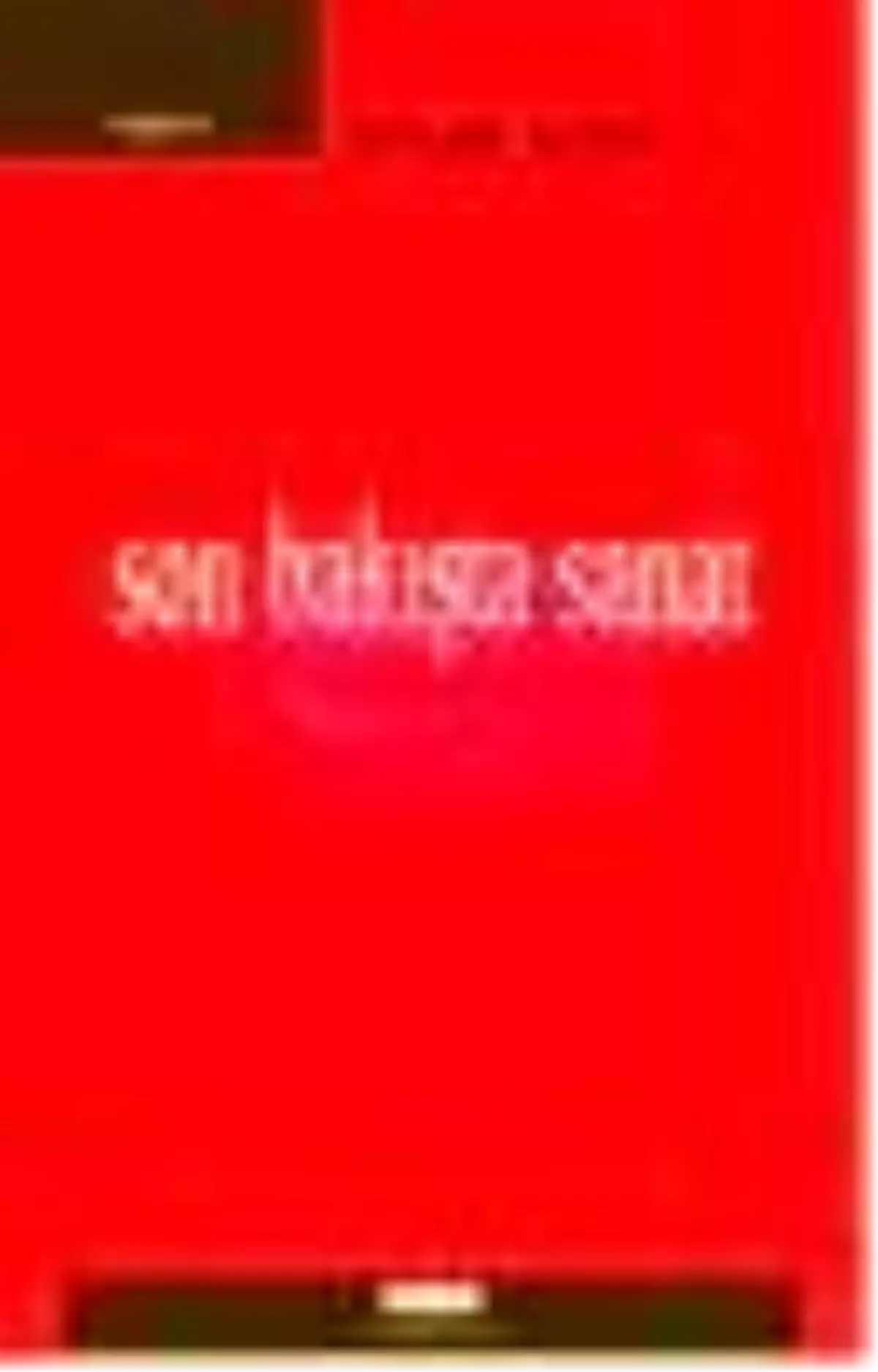 Son Bakışta Sanat Kitabı