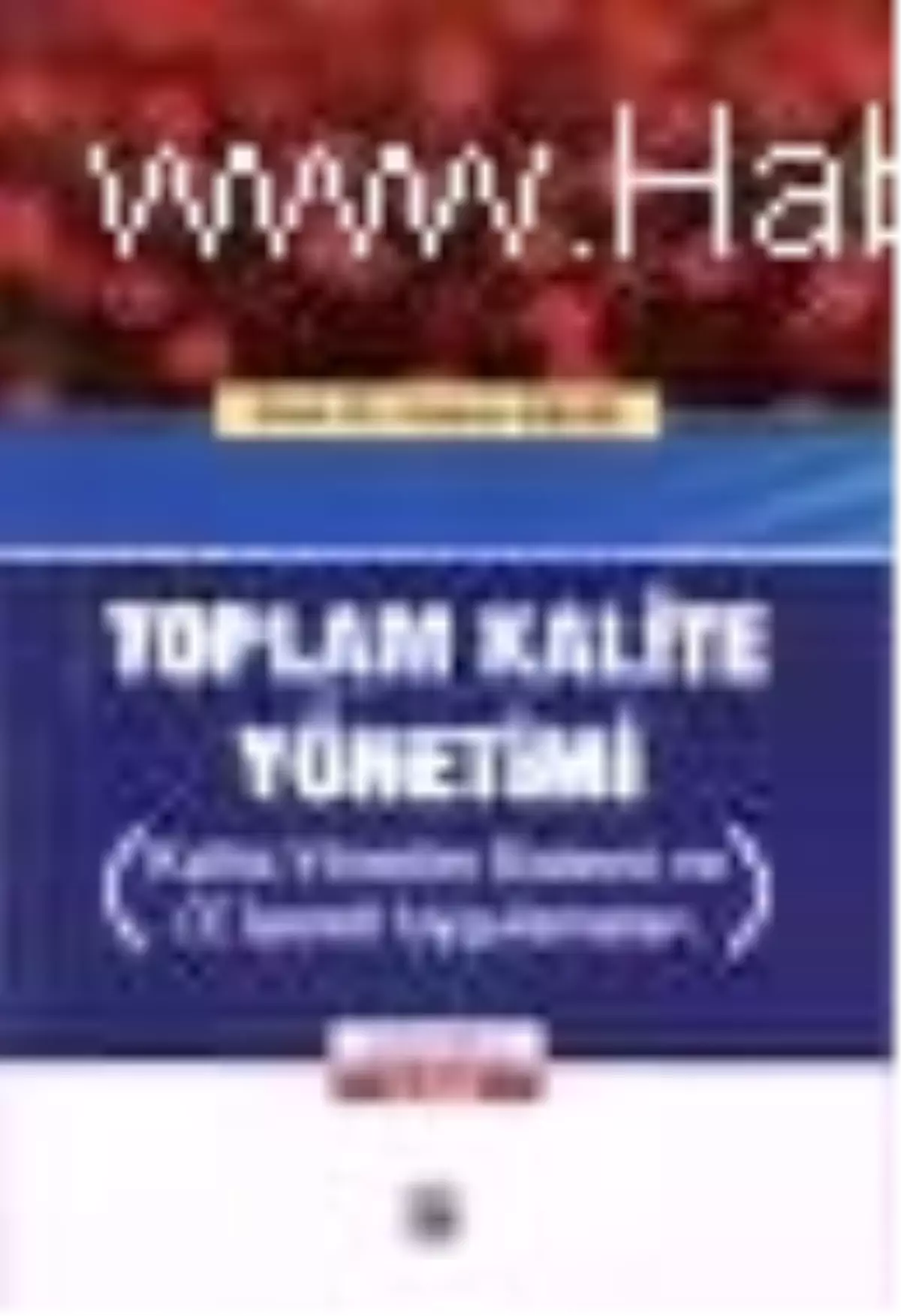 Toplam Kalite Yönetimi Kitabı