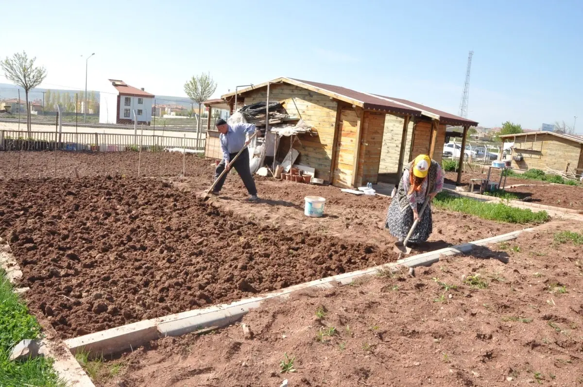 Bahar Geldi Hobi Bahçeleri Şenlendi