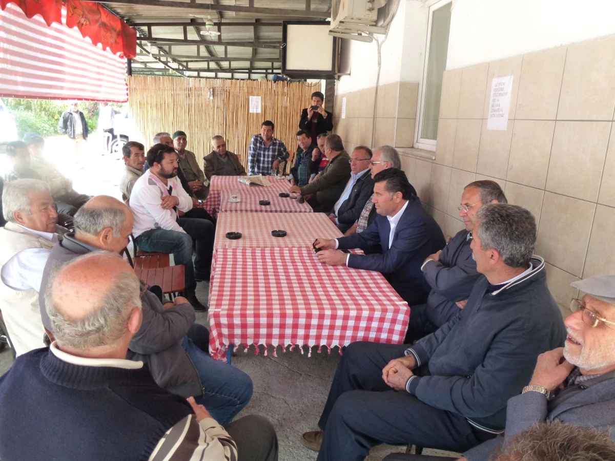 Başkan Mehmet Kocadon Yarımada\'da İncelemelerde Bulundu
