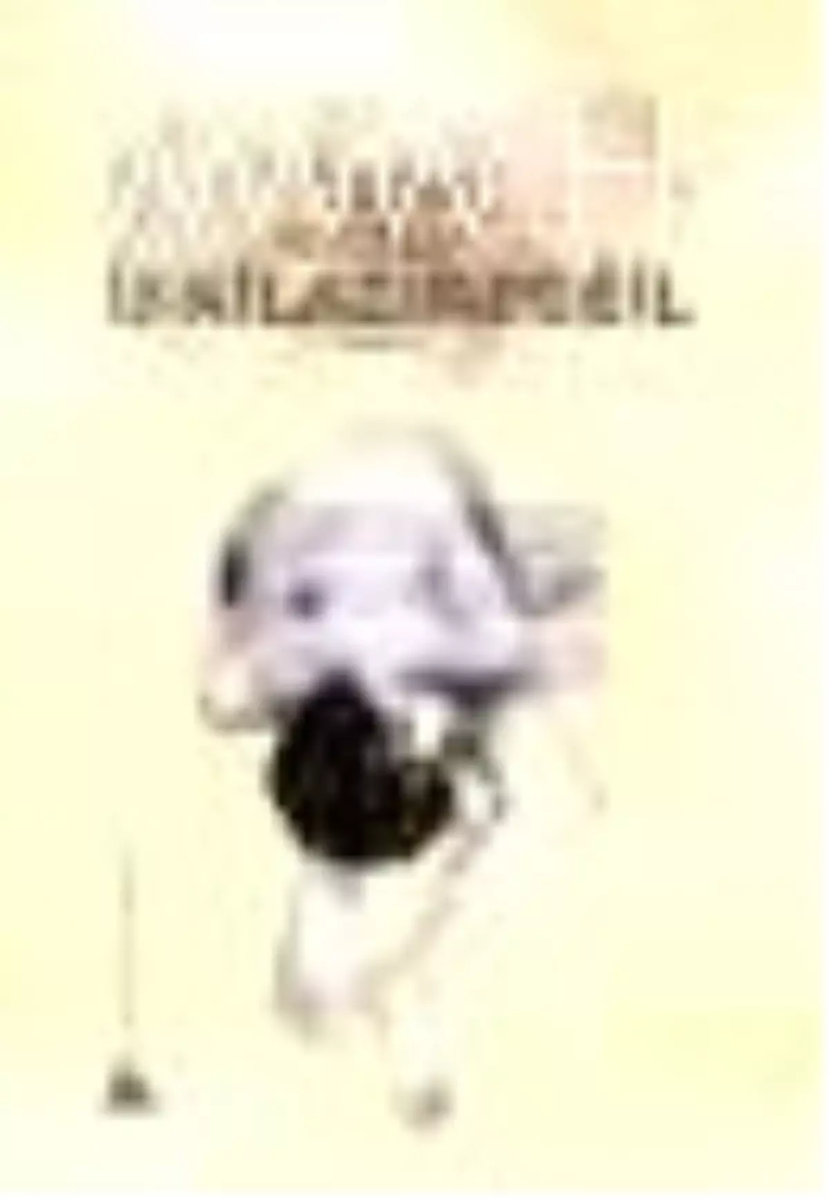 İsmilazımdeğil Kitabı