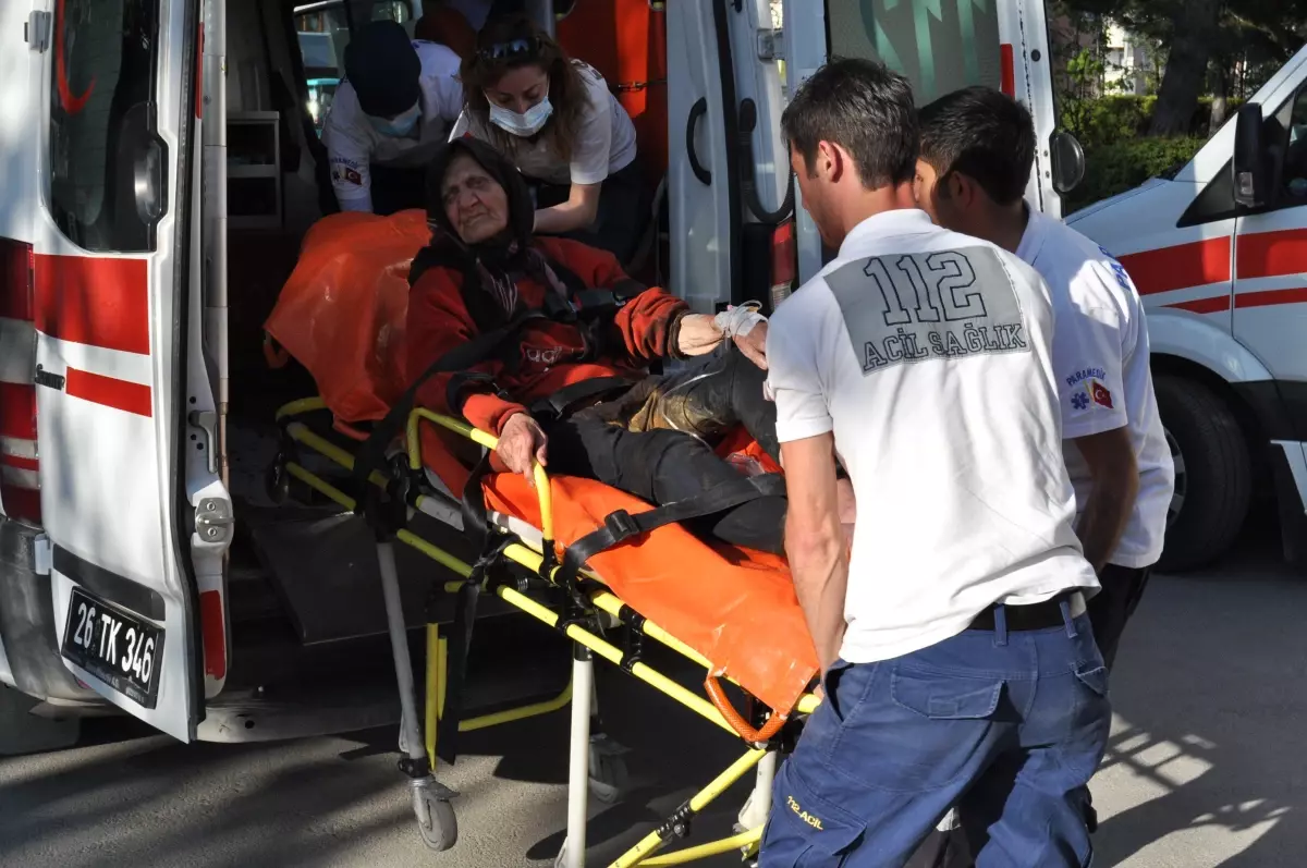 81 Yaşındaki Kadına Saldırdılar