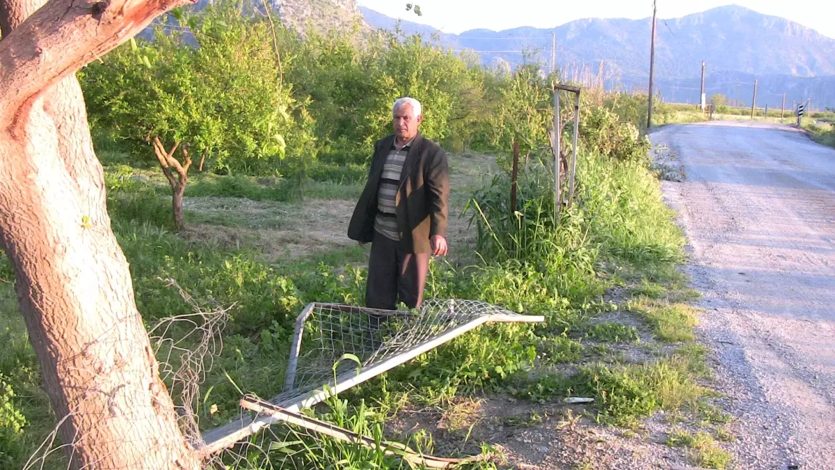 Arazi Sahiplerinin Alkollü Sürücü Tepkisi