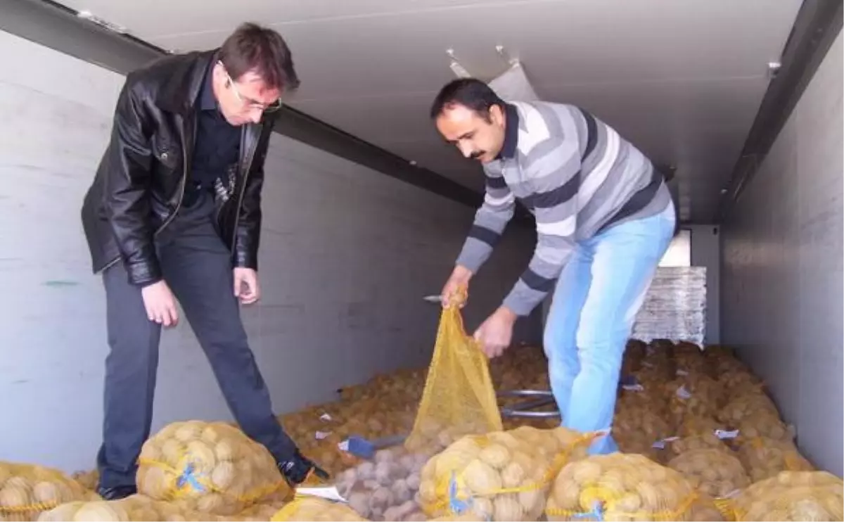 Nevşehir\'de 320 Bin Ton Patates Üretiliyor