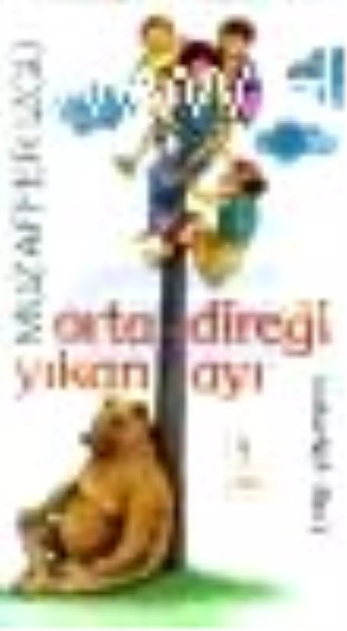 Ortadireği Yıkan Ayı Kitabı