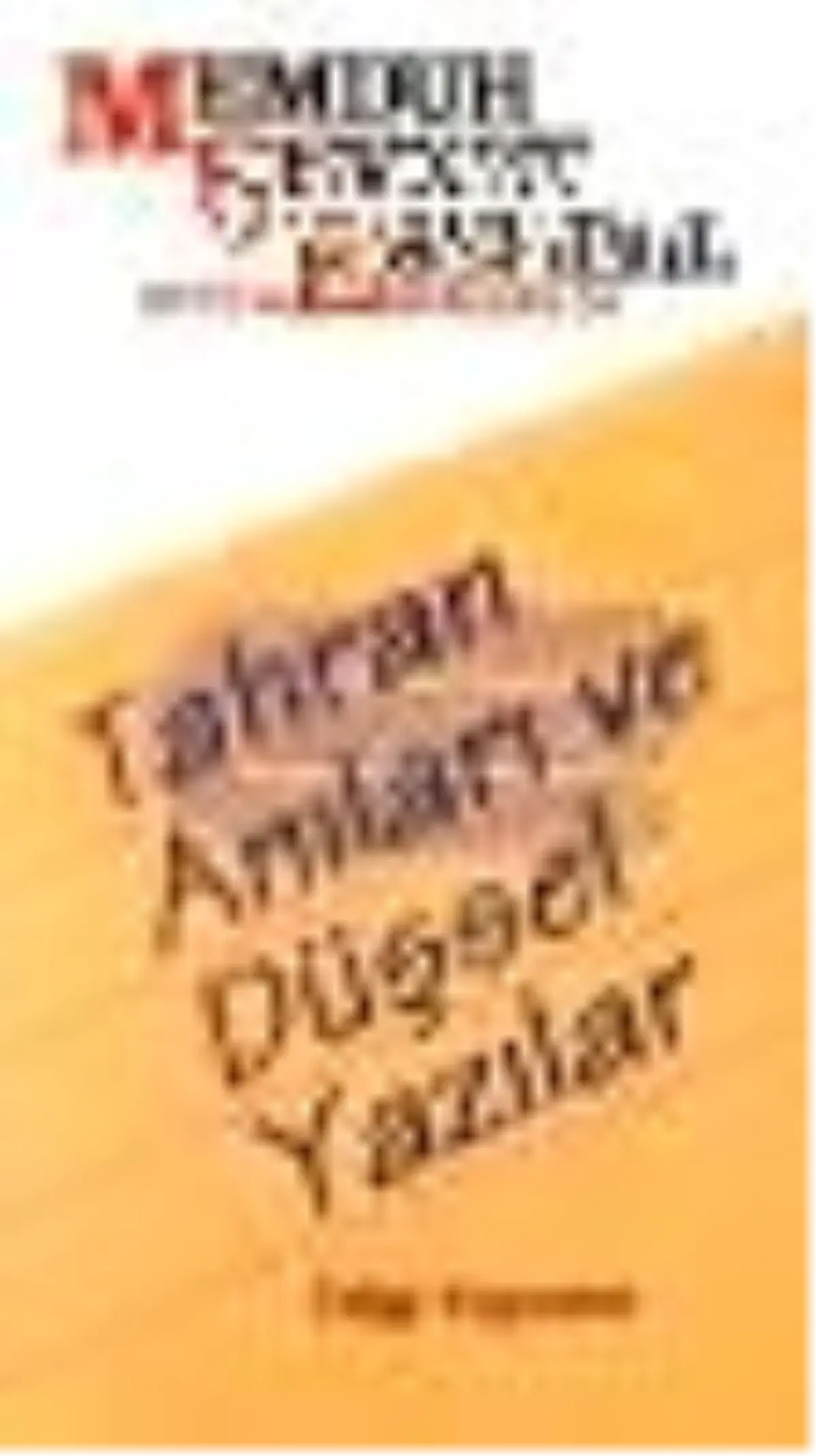 Tahran Anıları ve Düşsel Yazılar Kitabı